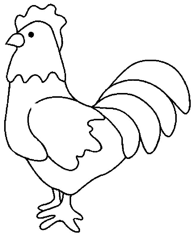 Chicken Farming