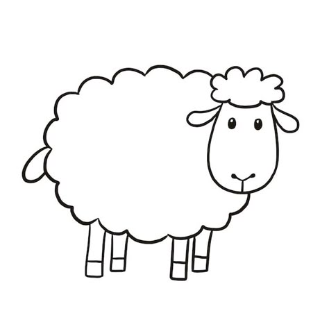Sheep Farming